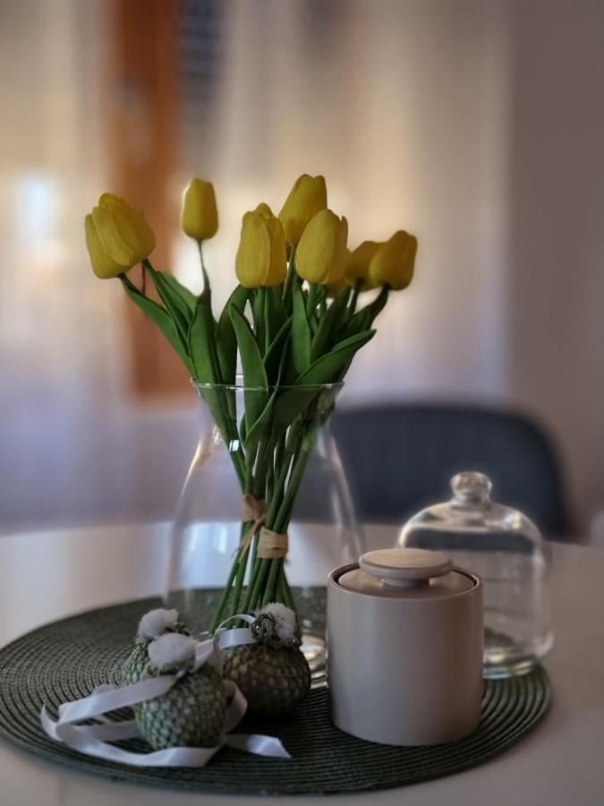 As Apartman 2 Vrsac Zewnętrze zdjęcie